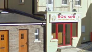 Plan for former business in Ballyshannon to become a residential unit