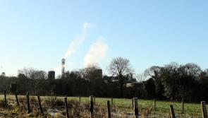 Probe launched into large-scale, unlicensed tree felling in Killygordon