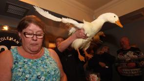 Poor Farmers Association charity action in Ardara almost set to go once more 