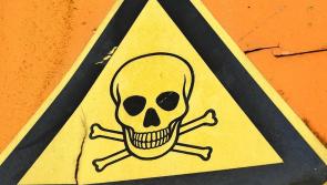 Warning to south Donegal pet owners as cat dies from poisoning