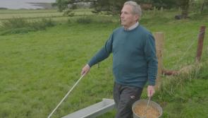 Remarkable Kilcar sheepfarmer who lost his sight yet still works to feature on  RTÉ