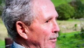 Kilcar sheepfarmer who lost his sight:  'You need a purpose to get out of bed'