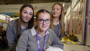 In pictures: Donegal's bright sparks at BT Young Scientist & Technology Exhibition