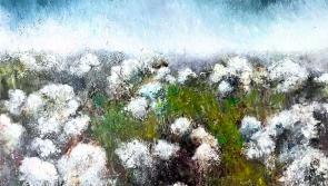 New exhibition features art by Johnny Boyle inspired by poems of Francis Harvey