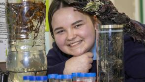 Prizewinners: Donegal’s student scientists and innovators shine at BTYSTE