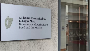 Case of bird flu confirmed in Donegal