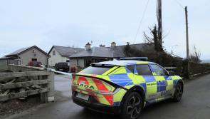 Two men 'seriously assaulted' at a house in Lifford - one airlifted to hospital
