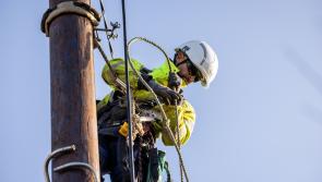 Crews from abroad to aid Storm Éowyn cleanup in Donegal