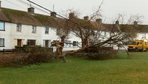 In pictures: Storm Éowyn leaves its mark on Ballyshannon