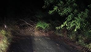 Financial help for people impacted by Storm Éowyn in Donegal
