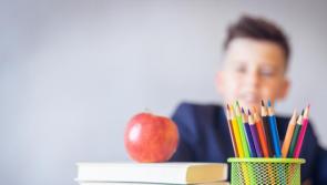 Murroe National School, Dunfanaghy set to receive hundreds of new books

