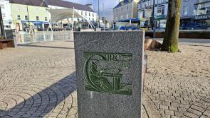 Can you help Donegal Town become a Gaeltacht Service Town? 