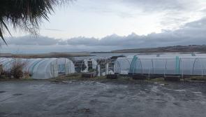Falcarragh’s Cill Ulta hopes to get back on its feet after €50k Storm Éowyn damage

