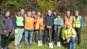 In pictures: Biodiversity in action at tree planting on Sentry Hill 
