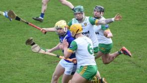 'Win over Kerry will do wonders for the development of hurling in Donegal' - McGrath