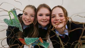 In pictures: County Library announces collaboration with three Donegal schools

