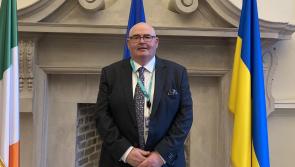 Boyle and Bradley's delight at new Seanad Éireann positions 