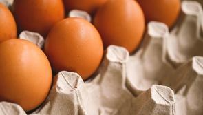 Clonmany property was pelted with eggs, flour and other foodstuffs