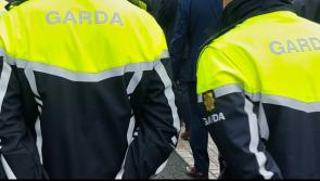 Man (30s) arrested after garda raid uncovers semi-automatic gun and ammunition in Louth