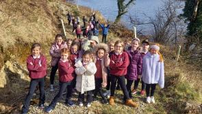 Scoil Mhuire Glenties crowned national winners in Coillte Photography Competition