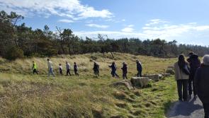 Coillte and NPWS teams quizzed on Murvagh dune project