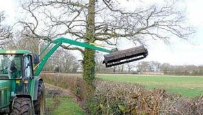 Letterkenny traffic gridlock due to hedge-cutting described as 'sheer madness'