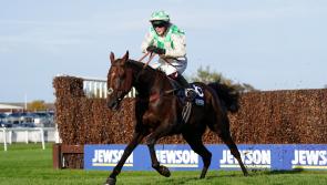 'It's gutting' - Sad death announced of Grand National runner Celebre d&rsquo;Allen