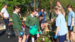 In Pictures: Local children put finishing touches to Laghey Sensory Garden