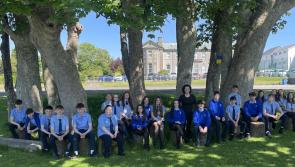 Storm-felled trees given new lease of life in outdoor classroom