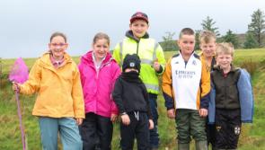 In Pictures: Darney Duck Race raises funds for Killaghtee NS