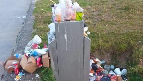 Stuffed crusts: Council called to implement pizza box bins to tackle litter