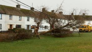Donegal makes 1,696  Storm Éowyn assistance claims
