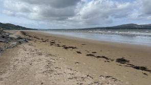 Public advised to avoid swimming at Lisfannon Beach