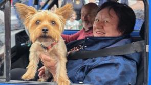In pictures: Happy heads and pups as Burtonport Summer Festival is in full swing
