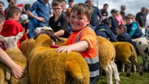 Record entries for Ardara Show 2025 – A great day out for all the family