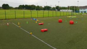 Donegal GAA club will use CCTV to halt dog-fouling issue