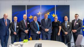 Seafood Ireland Alliance meet with EU Fisheries Commissioner in Brussels