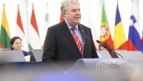 Mullooly confronts Commission in Strasbourg on 'shocking' defective blocks scandal