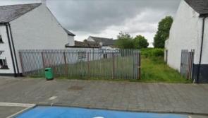 Planning for St Johnston development overturned due to Japanese knotweed concerns
