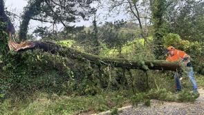 People are asked to check in on vulnerable neighbours in the wake of Storm Amy