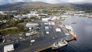 'Deeply concerning' - Minster meets members of pelagic industry in Killybegs
