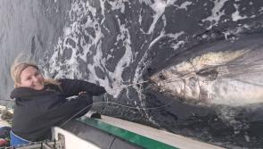 ‘I am physically exhausted’ - Killybegs woman describes monster 760lb tuna catch
