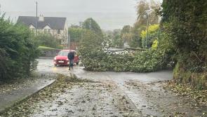Donegal County Council urged to increase preparations for red storm warnings