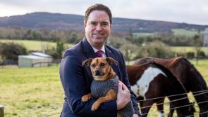 Animals in Need Donegal allocated &euro;64,250 under the Animal Welfare Grants Programme