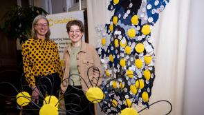 Donegal community groups secure &euro;6,000 in Circular Communications Grants