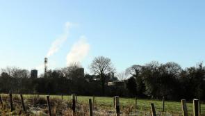 Prosecution possible after illegal felling of ancient Donegal woodland, Department says
