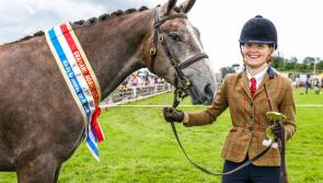 'Well done, richly deserved' - Donegal school's delight at student's achievement