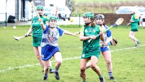 Greenan shines as Donegal Camogs lose out narrowly in Division 3B opener
