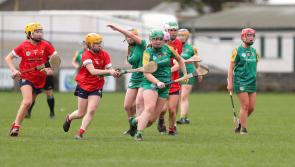 Goals win games as Donegal camogs lose out to Louth