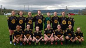 Lagan Harps get women's eleven-a-side team back up and running